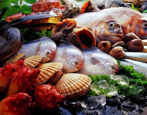 福建海鲜爆料事件真相视频,揭秘背后惊人内幕